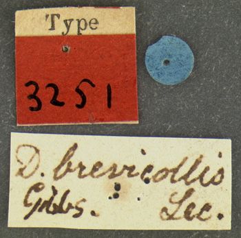Media type: image;   Entomology 3251 Aspect: labels